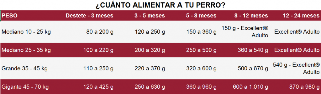 EXCELLENT PUPPY RAZA MED GRANDE X 3 KG