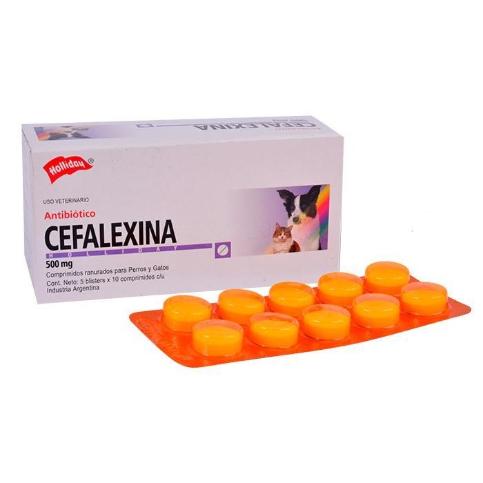 CEFALEXINA 500 MG BLISTER X 10 TABLETAS