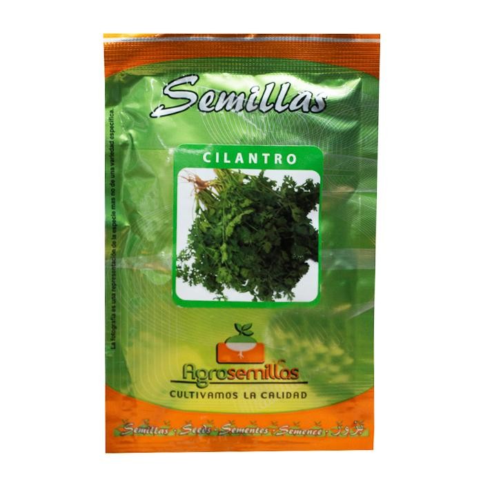 CILANTRO LONG STANDING SOBRE X 20 GRS