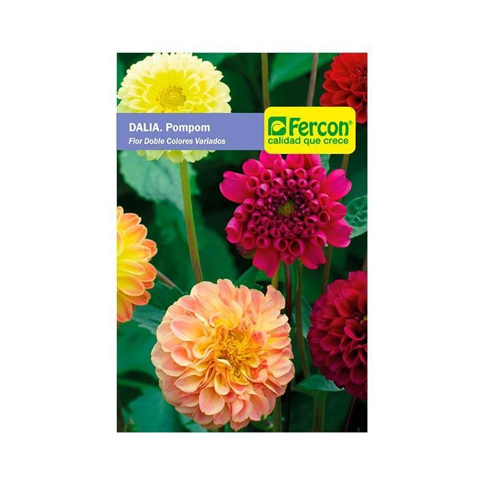 FLOR DALIA POMPON FERCON SOBRE X 0 5 GR