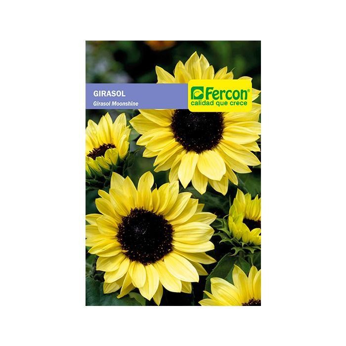 GIRASOL GIGANTE AMAR MOONSHINE X 0 5 GR