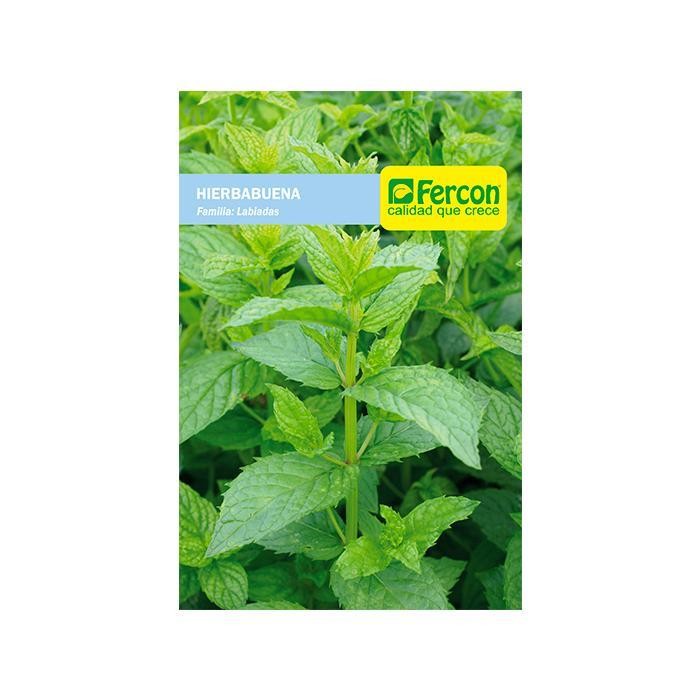 HIERBABUENA X 0 1 GR 2240 CD 02342240