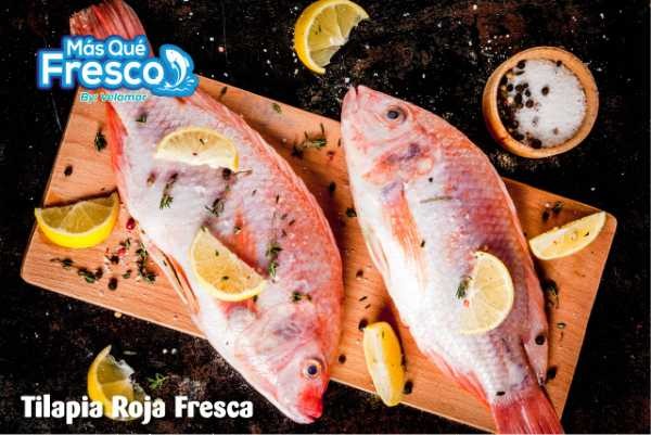 Tilapia Roja Fresca Kilo