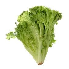 Lechuga crespa