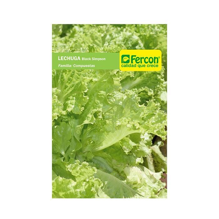LECHUGA BLACK SIMPSON SOBRE ESTANDARX3GR