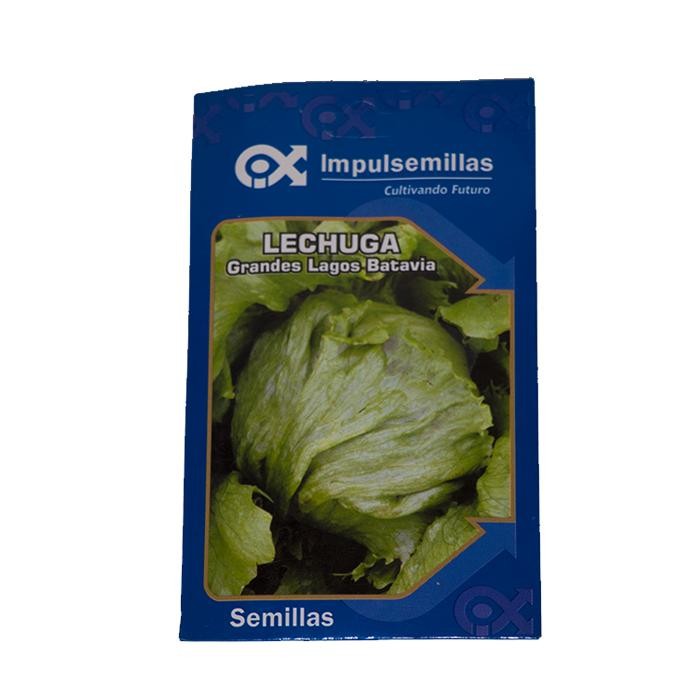 LECHUGA G LAGOS BATAVIA SOBRE X 4 GRS