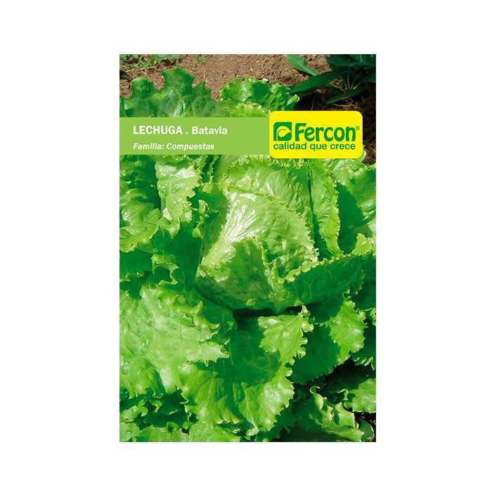 LECHUGA (FERCON 2210016) SOBRE X 2 GR