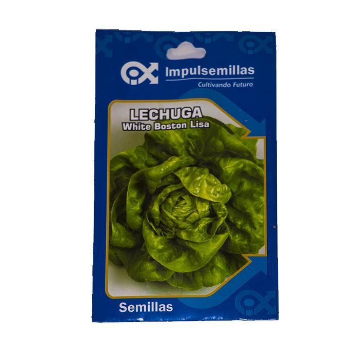 LECHUGA WHITE BOSTON LISA SOBRE X 7 GRS