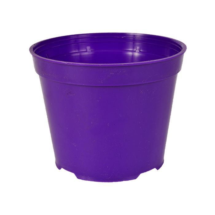 MATERA VIOLET REDONDA REF 10