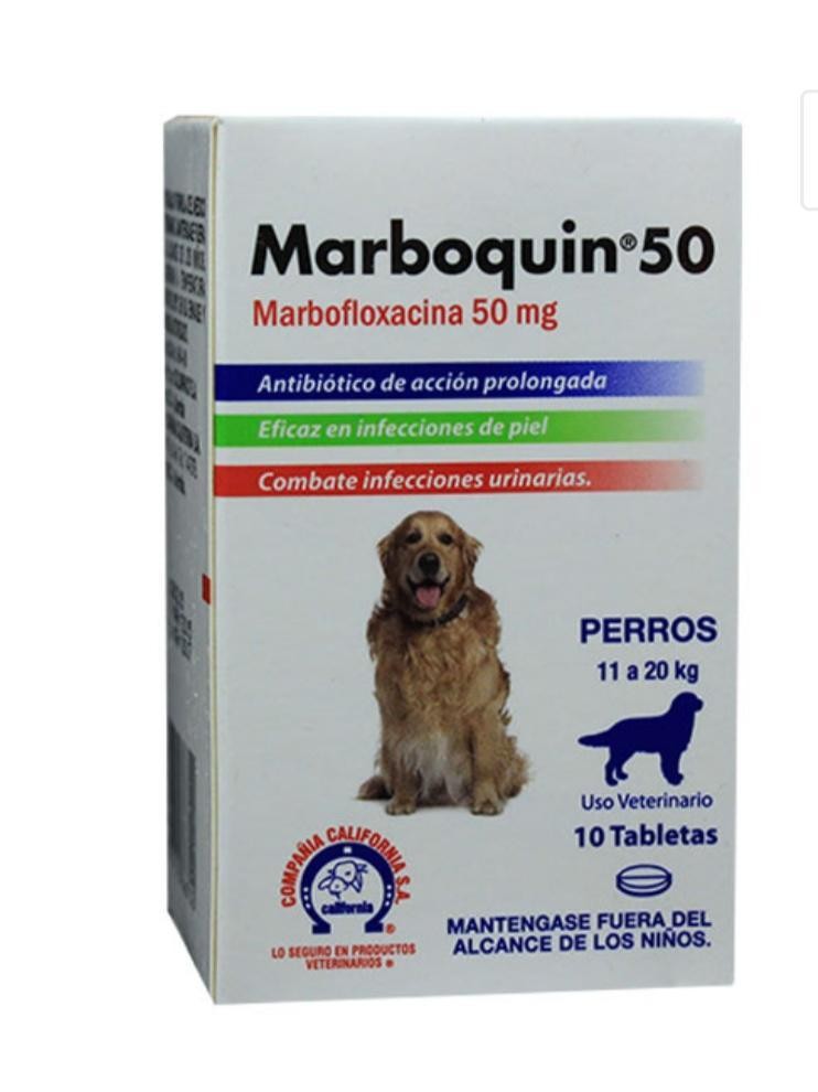 MARBOQUIN 50 MG PERRO 11 A 20KG X 10 TAB
