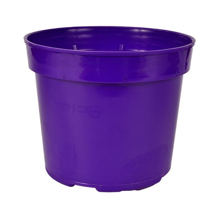 MATERA REDONDA REF 14 VIOLETA 03440224