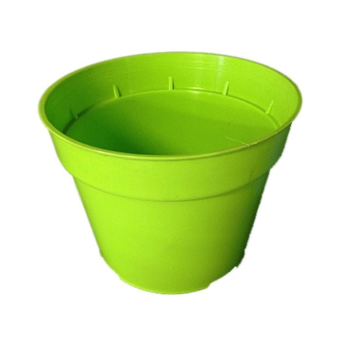 MATERA REDONDA REF 17 VERDE 03440231