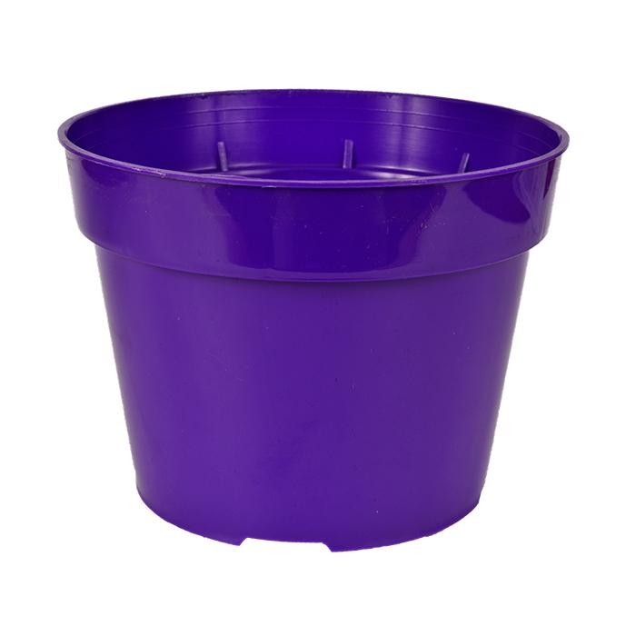 MATERA REDONDA REF 17 VIOLETA 03440230