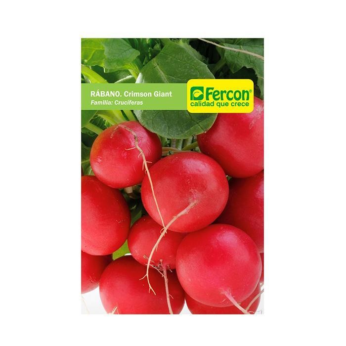 RABANO CRIMPSON GIANT SOBRE X 4 GR