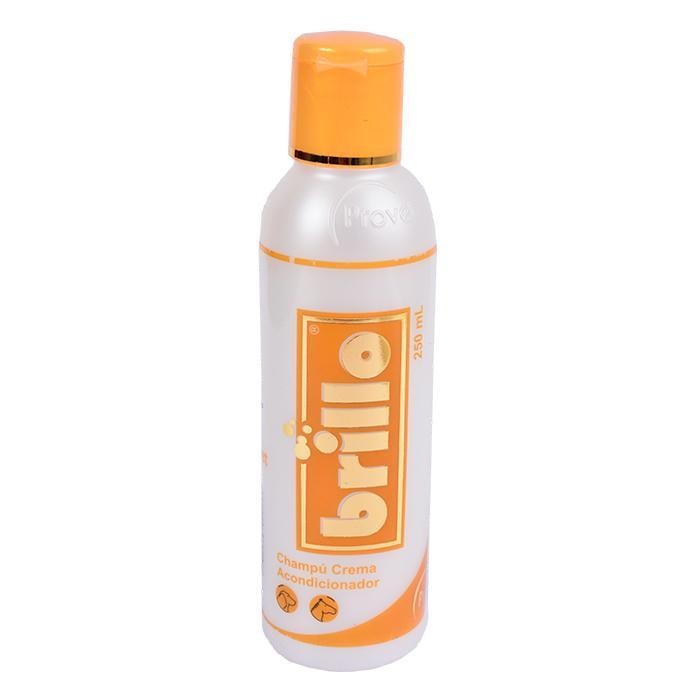 SHAMPOO BRILLO FCO X 250 ML