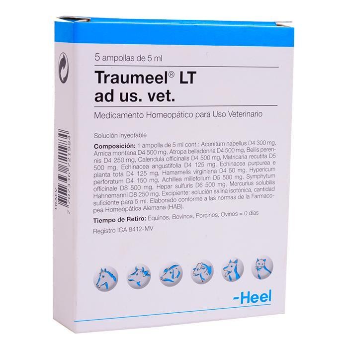 TRAUMEEL LT X AMPOLLA