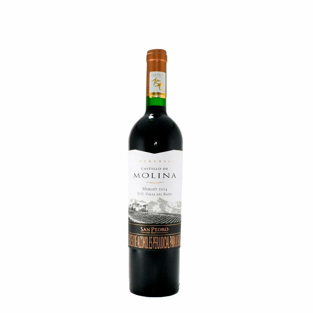 Vino Castillo Molina Merlot - Vinos Chilenos