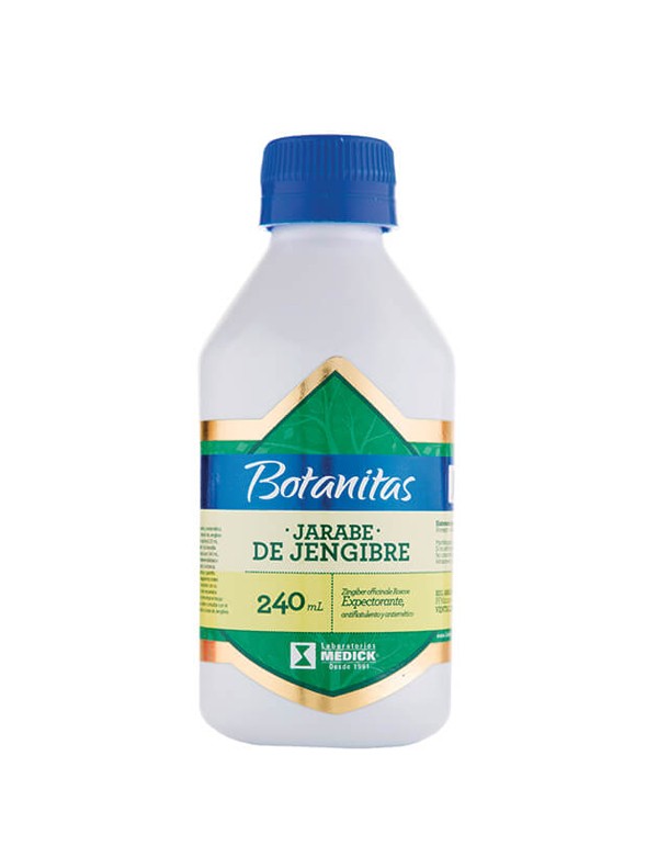 JARABE DE JENGIBRE X 240 ML