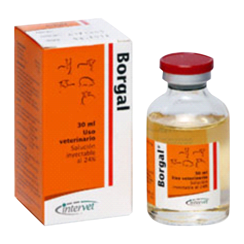 Borgal 24% x 100 ml