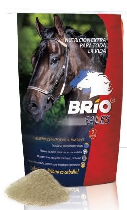 Brio Sales x 2 kl