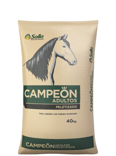 Campeon Adulto Pellet x 40 kl