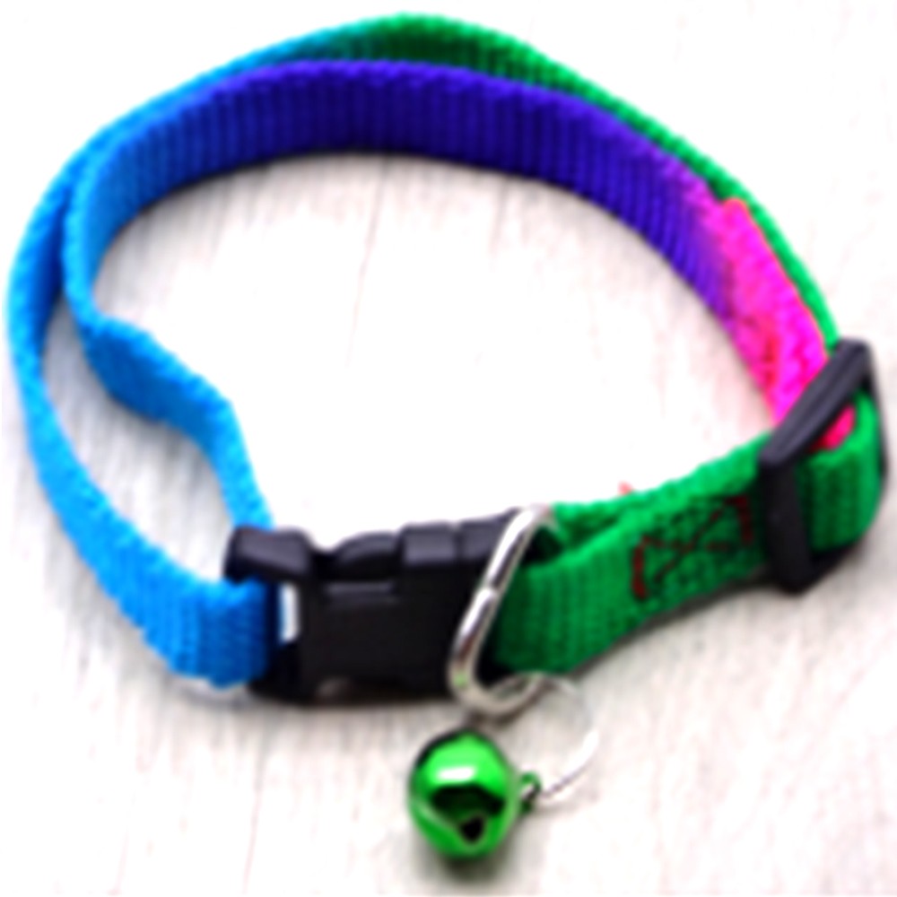 Collar Cascabel