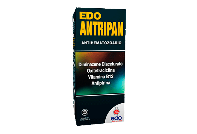 Edo Antripan x 500 ml