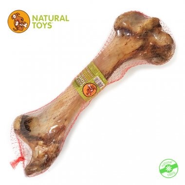 Hueso Femur Res Delantero-Humero de Res