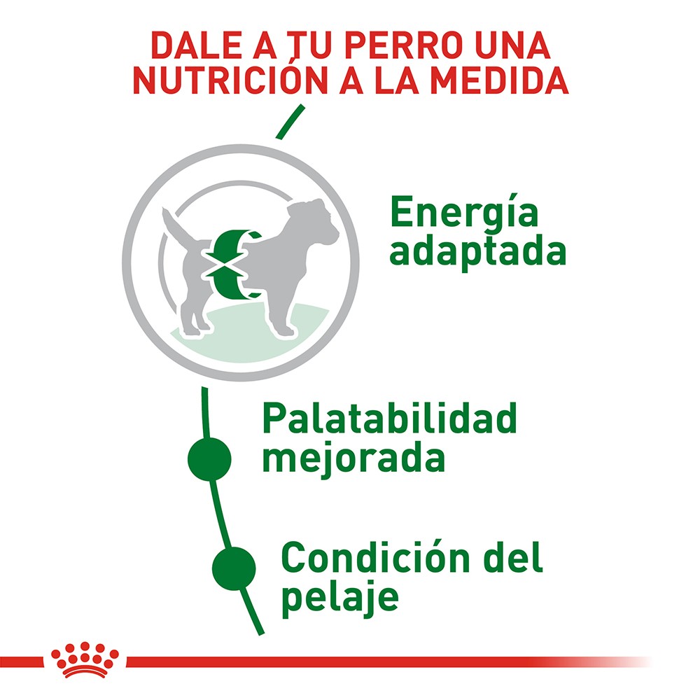 Royal Canin Adulto Mini x 2 kg