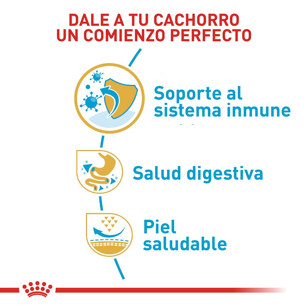 Royal Canin Bulldog French Cachorro x 1.3 kg