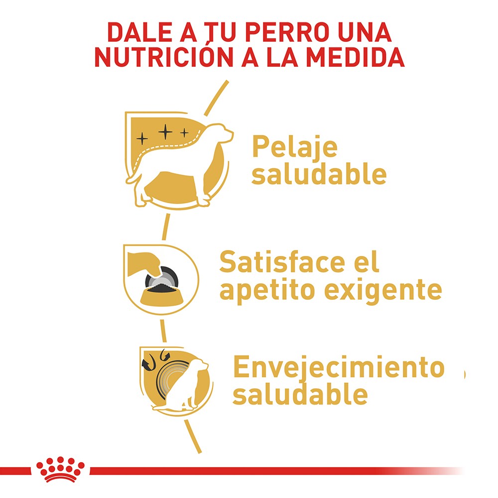 Royal Canin Yorkshire Terrier Adulto x 1.14 kg