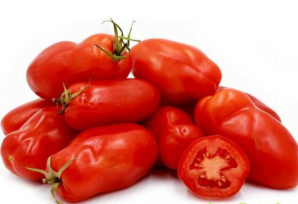 Tomate San Marzano