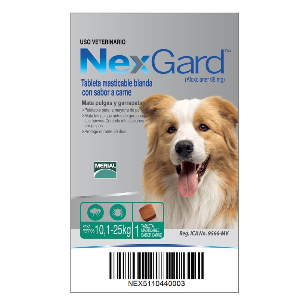 Nexgard 10-25 Kg Talla l