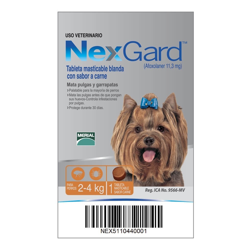 Nexgard 2-4 Kg Talla s