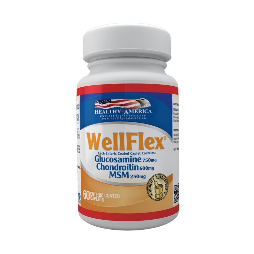 GLUCOSAMINA 750 MG+ COND 600 (WELLFLEX) X 120 CAP
