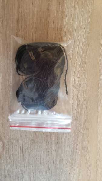 HILO RESORTE NEGRO PQT 10M
