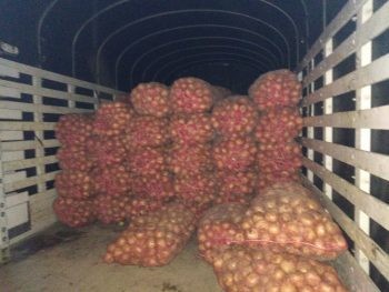 Bulto de Cebolla Blanca x 45 kilos