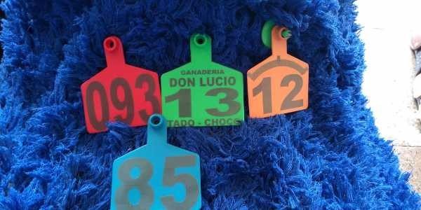 Orejeras o chapetas marcadas x 100und