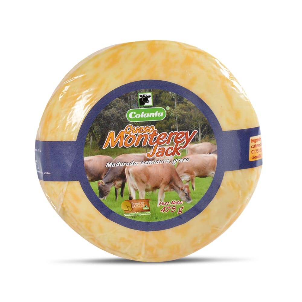 Queso Monterrey Jack – 475grs