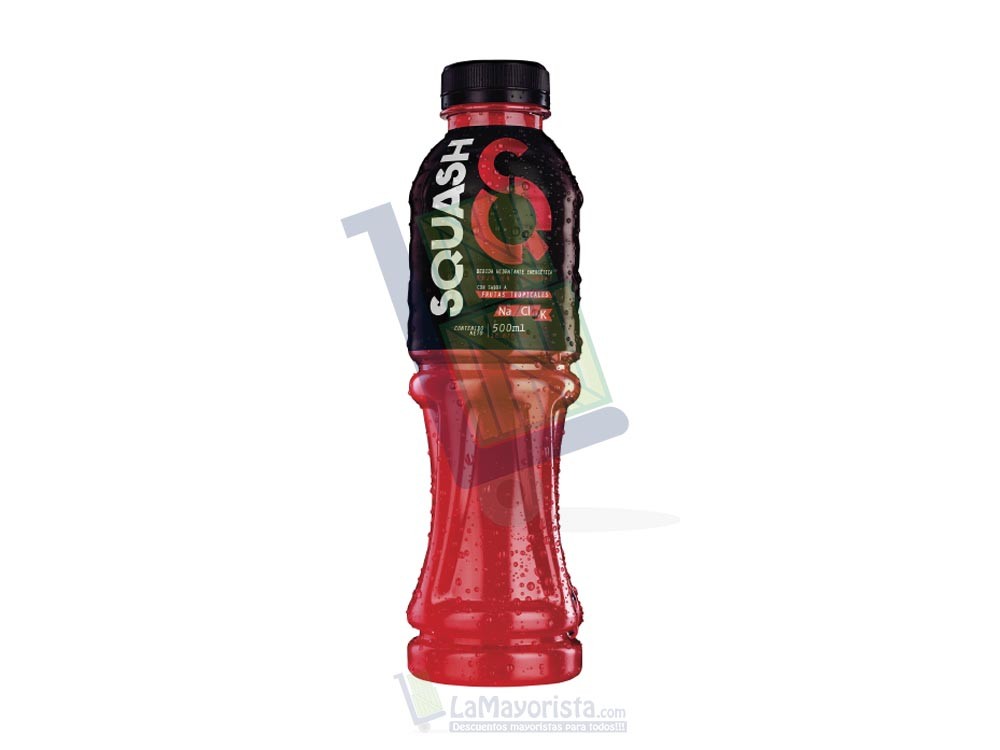 Squash Frutas Tropicales Pet x 500 ml Paca X 12