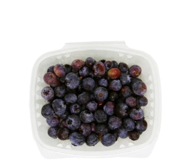 ARANDANOS FRUVER x 125g