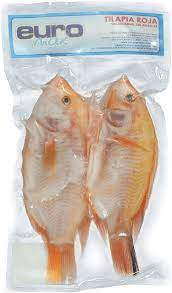 TILAPIA ROJA EURO AL VACIO