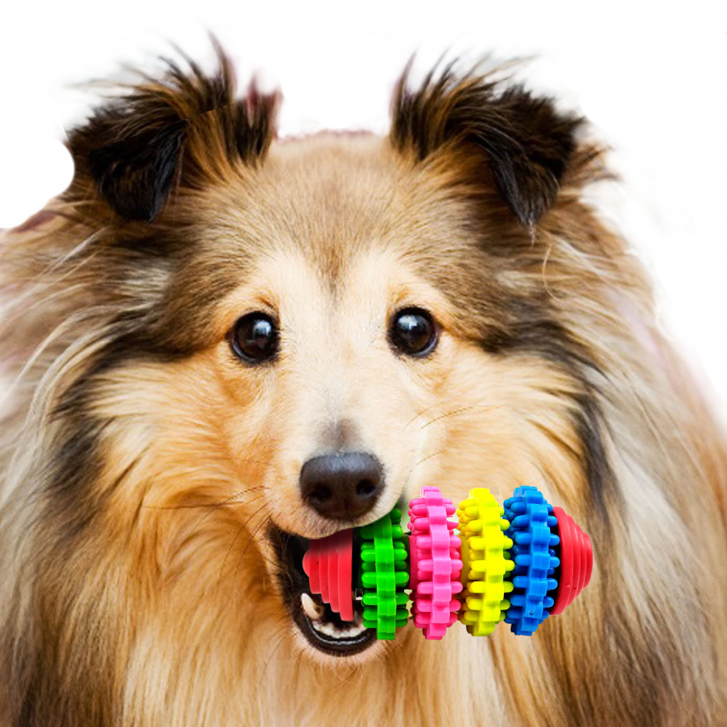 Juguete Para Perro Jugueteria Mascotas