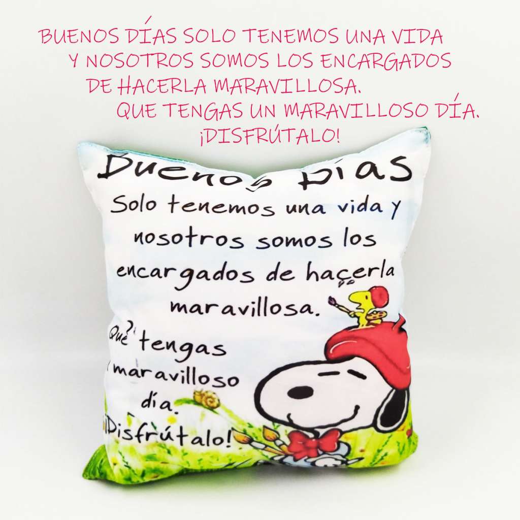 Cojín Almohada Mensaje Decorativo Hogar