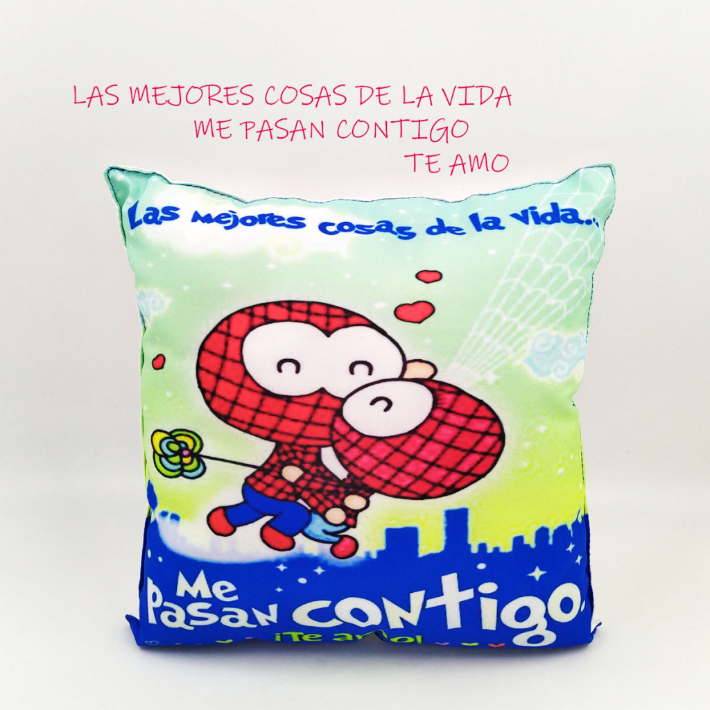Cojín Almohada Mensaje Decorativo Hogar