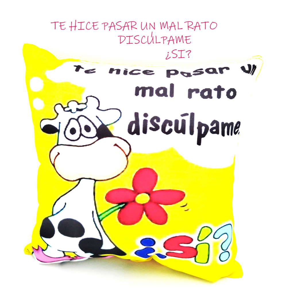 Cojín Almohada Mensaje Decorativo Hogar