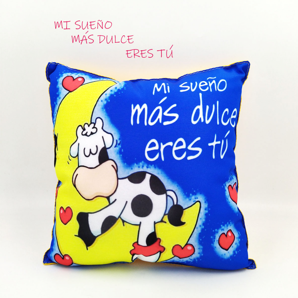 Cojín Almohada Mensaje Decorativo Hogar