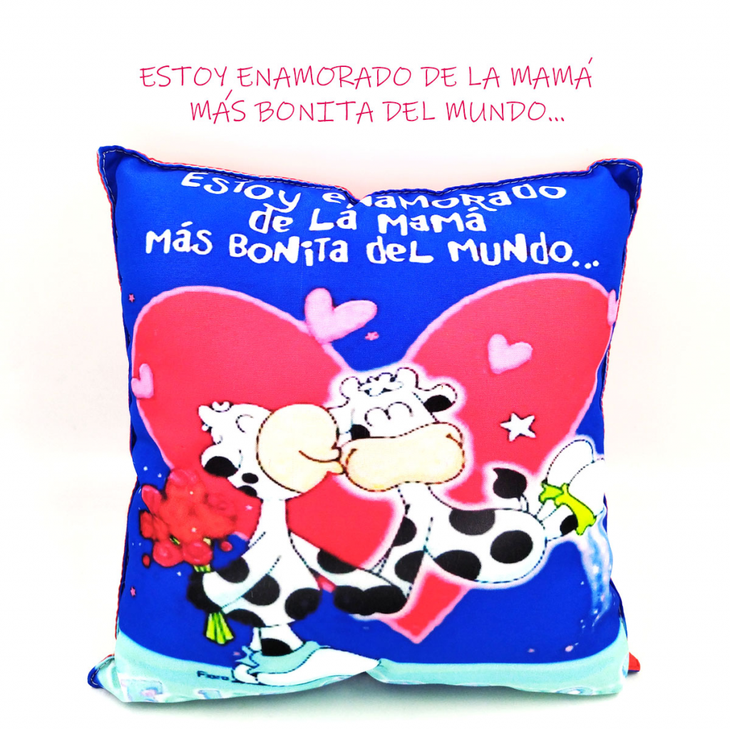 Cojín Almohada Mensaje Decorativo Hogar