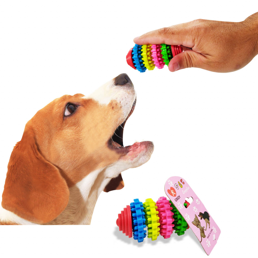 Juguete Para Perro Jugueteria Mascotas