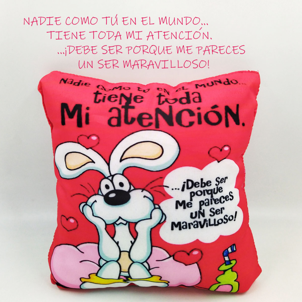 Cojín Almohada Mensaje Decorativo Hogar